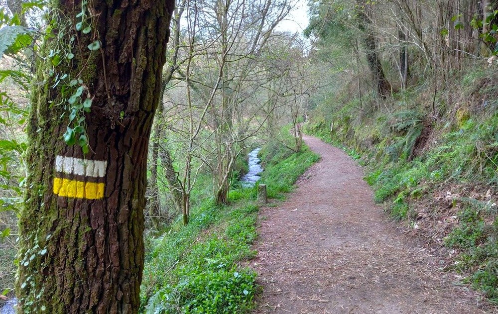 Rutas de senderismo por los montes de Vigo