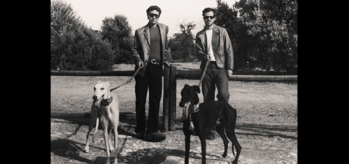 Taburete. El perro que fuma Taburete. El perro que fuma