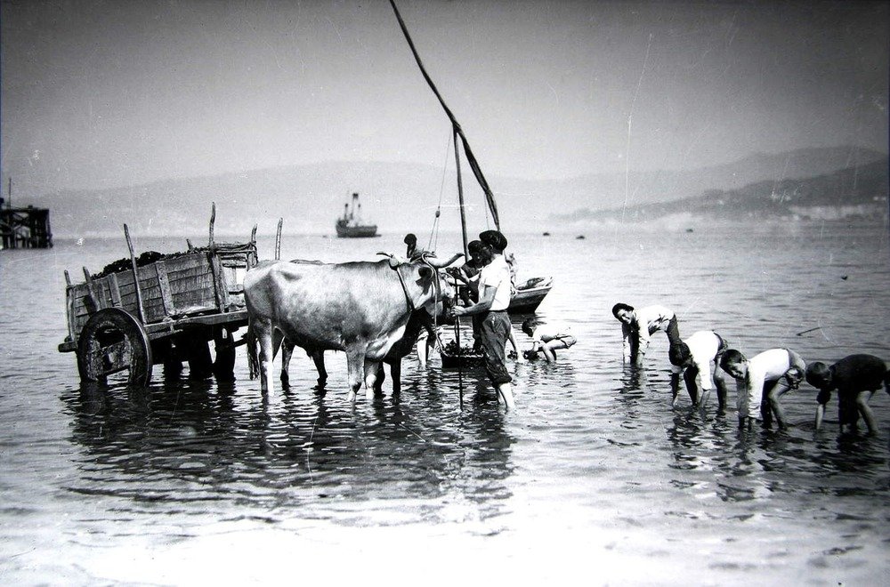 Archivo Fotográfico Pacheco